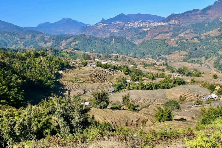 Sapa rice terraces travel destination